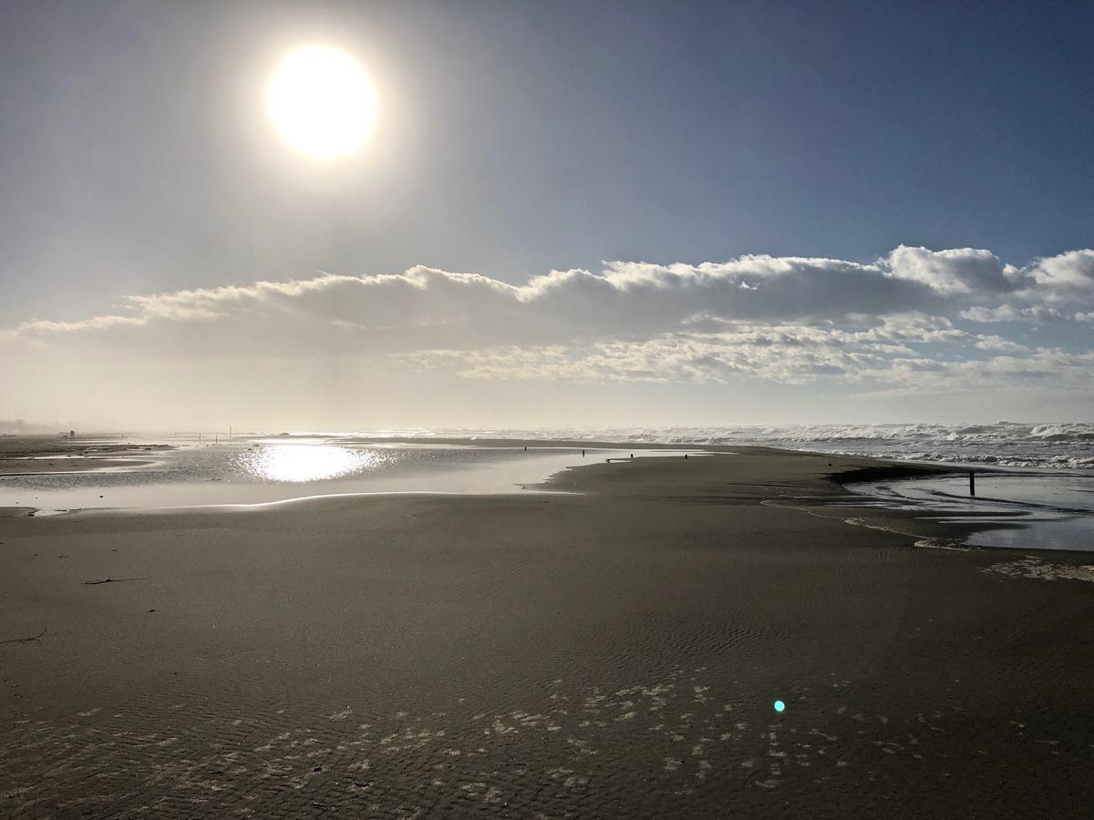 Maison Ciri Villa Forte dei Marmi Dış mekan fotoğraf